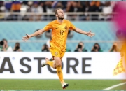 九游体育入口-欧洲籍球员在国内联赛中表现抢眼