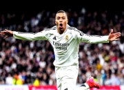 九游体育亚洲官网-包含惊艳表现！哈兰德破门助球队取得胜利的词条