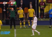 九游体育网页版入口-瑞典队逆转战胜晋级欧洲杯四强赛