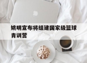 九游体育官网入口-包含姚明宣布将组建国家级篮球青训营的词条