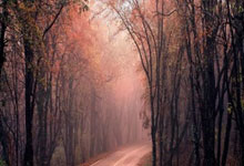 九游体育官方入口-摩纳哥气贯长虹擒敌，领跑法甲积分榜，摩纳哥参加法甲