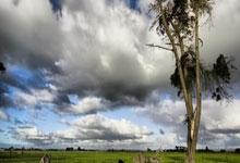 九游体育官网-克罗托内胜利止血，罗马连续失球形势堪忧：意甲焦点比赛深度解析