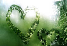 九游体育网页版入口-北安联新星脱颖而出，表现引起球迷热议，北安市百度百科