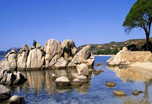 九游体育网页版入口-北京挺进总决赛，成就传奇之旅